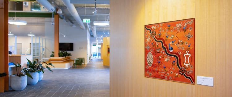 Imaging of Indigenous Painting